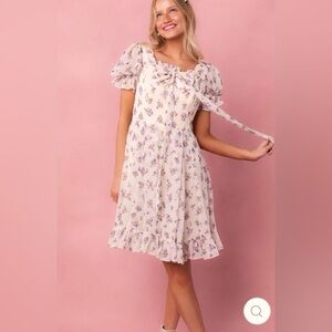 Ivy City Dolly Dress NWT